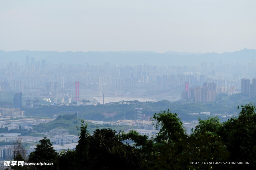 城市远景与葱郁林木景观