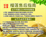榴莲售后指南