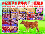 牛肉羊肉直销点