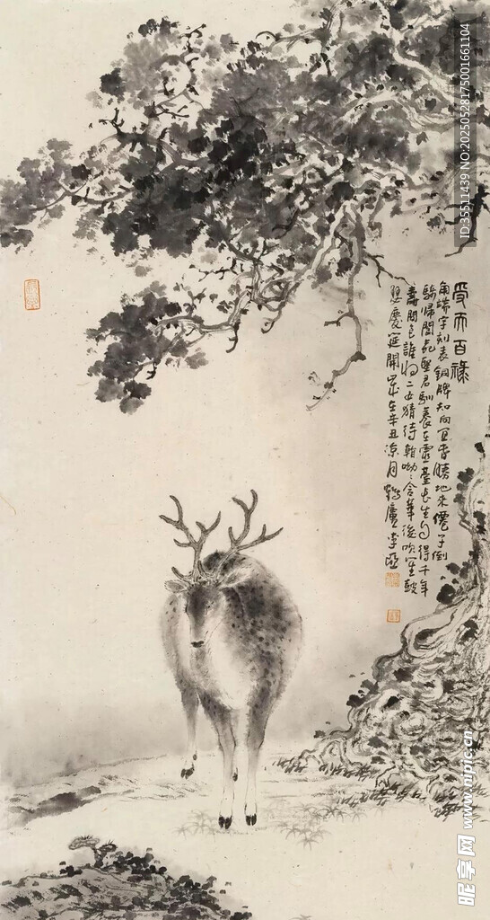 漫步的优雅小鹿