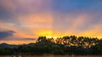 夕阳下的树林美景