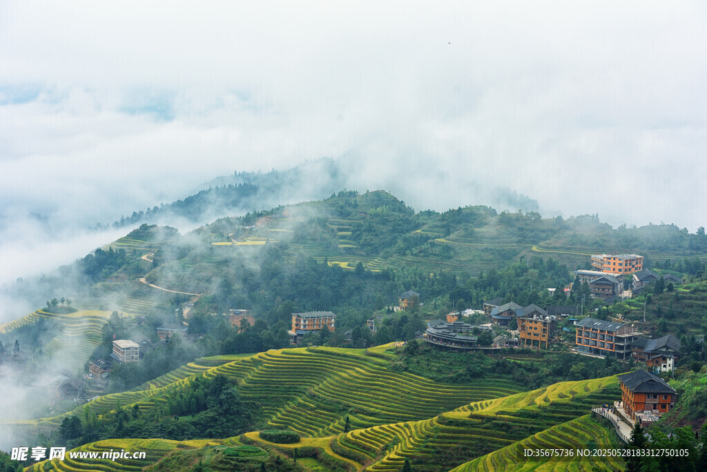 云雾缭绕的山间梯田美景