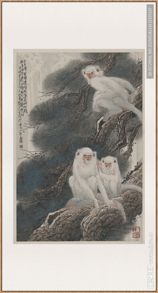 双猴图徐培晨白猴图轴 