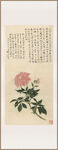 中式花卉图绘于非闇 大丽花