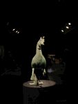 博物馆中的恐龙化石展品