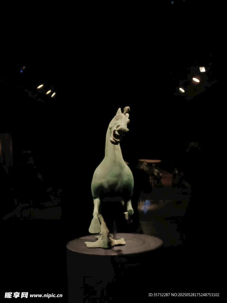博物馆中的恐龙化石展品
