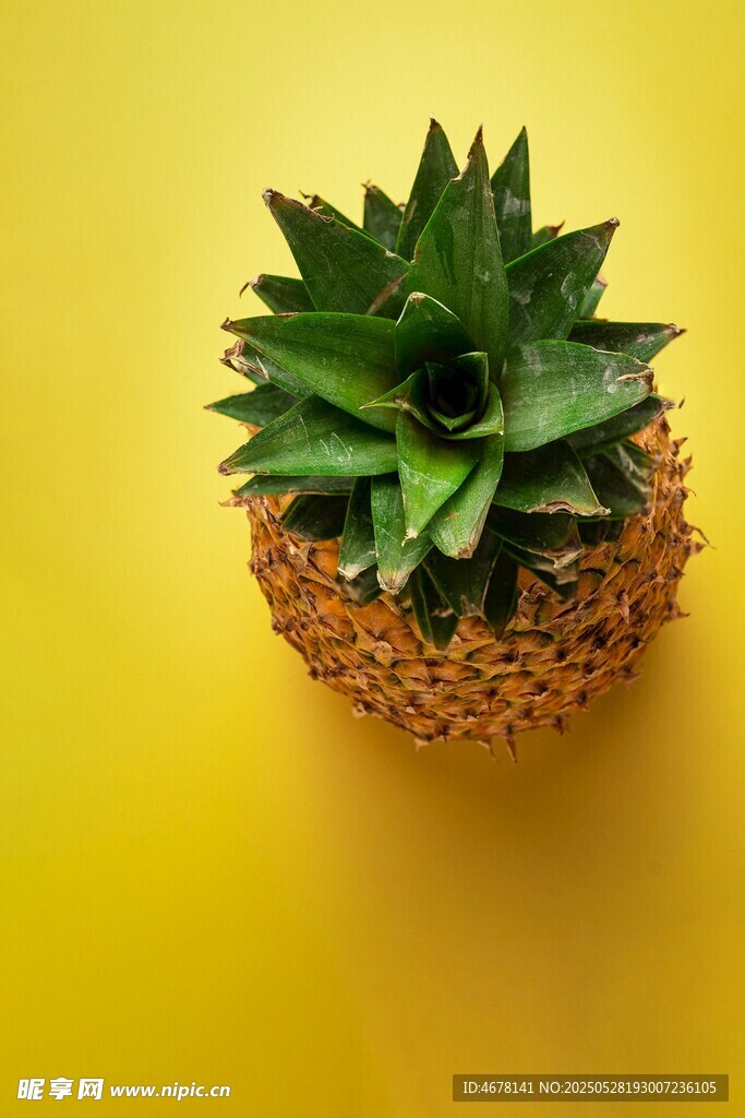 黄色背景上的菠萝顶部
