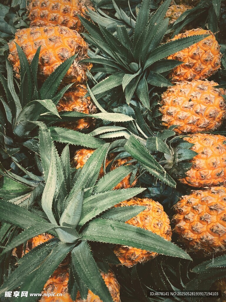 新鲜菠萝堆叠