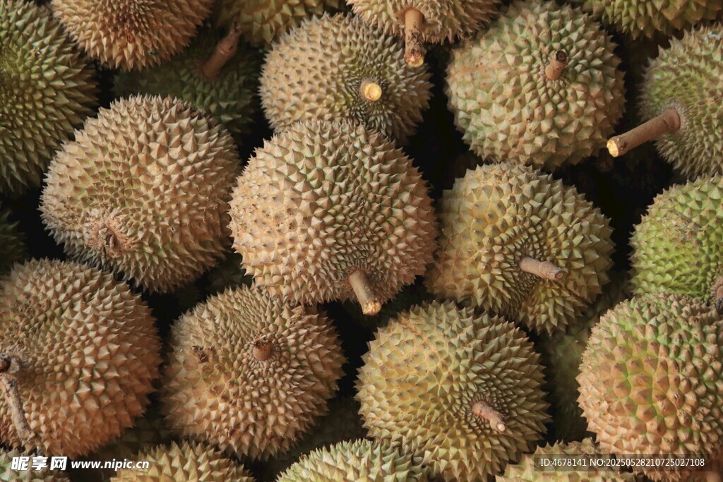 一堆新鲜的榴莲果实