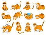 可爱猫咪多样姿态插画