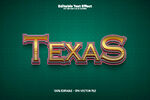 立体字效果的TEXAS展示