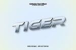 金属质感TIGER立体字效果