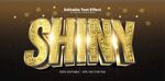 闪耀金色字体SHINY