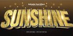 金色闪耀的SUNSHINE字样