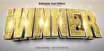 金色立体WINNER字样