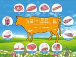 牛肉部位图示及分割介绍