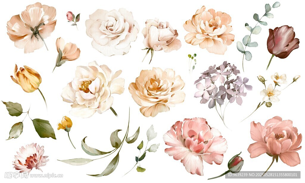 花卉