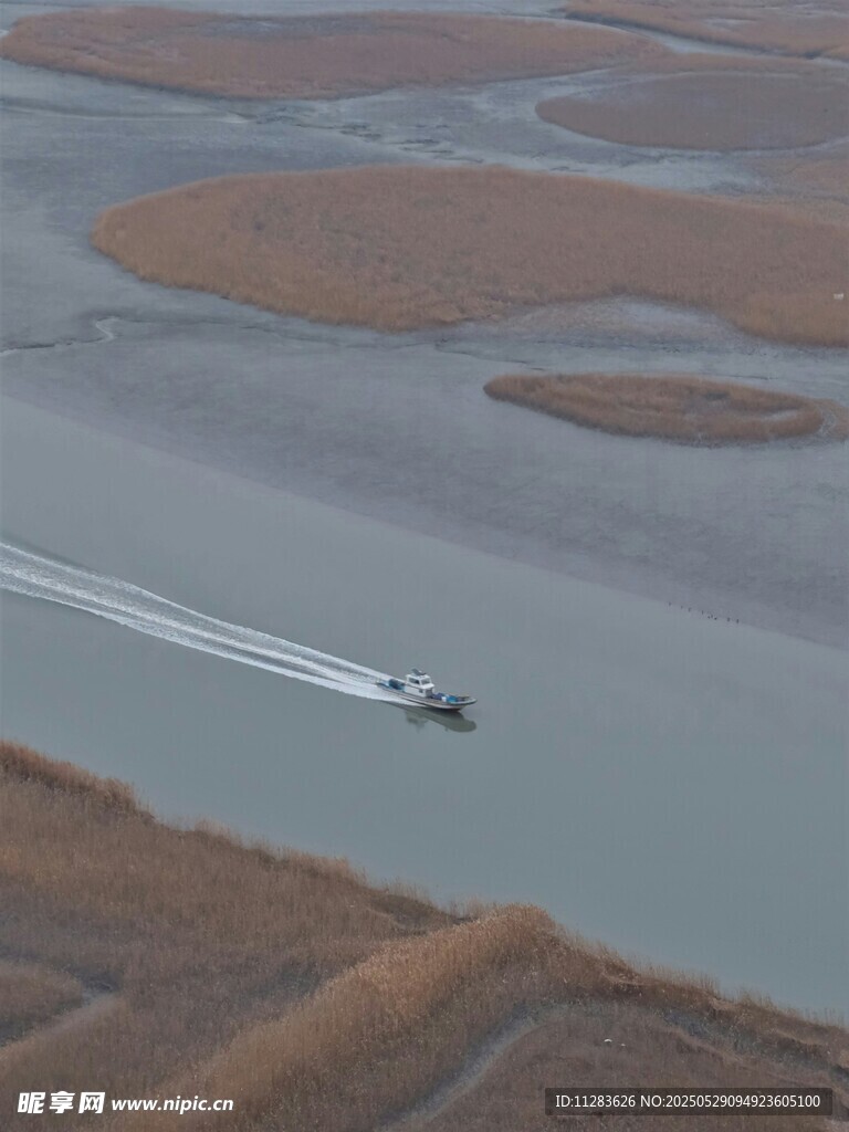 河上小船行驶于湿地间