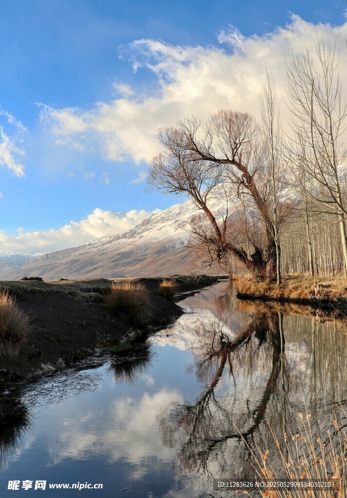 湖畔枯树与雪山倒影美景