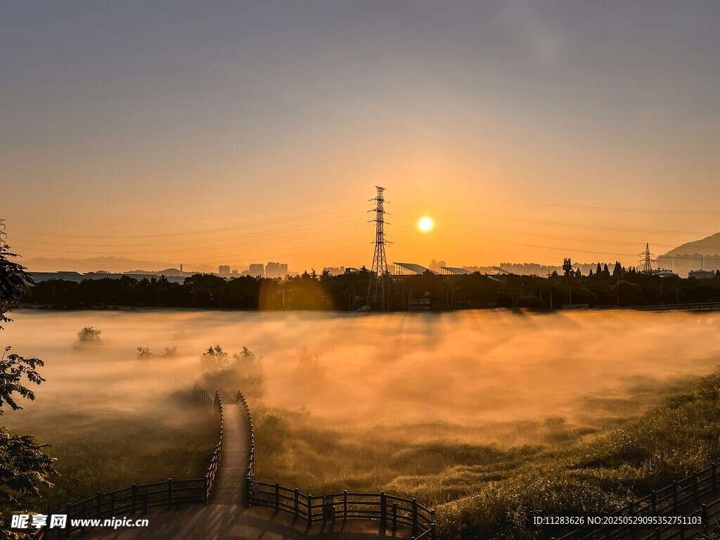 日出时分的朦胧田野美景
