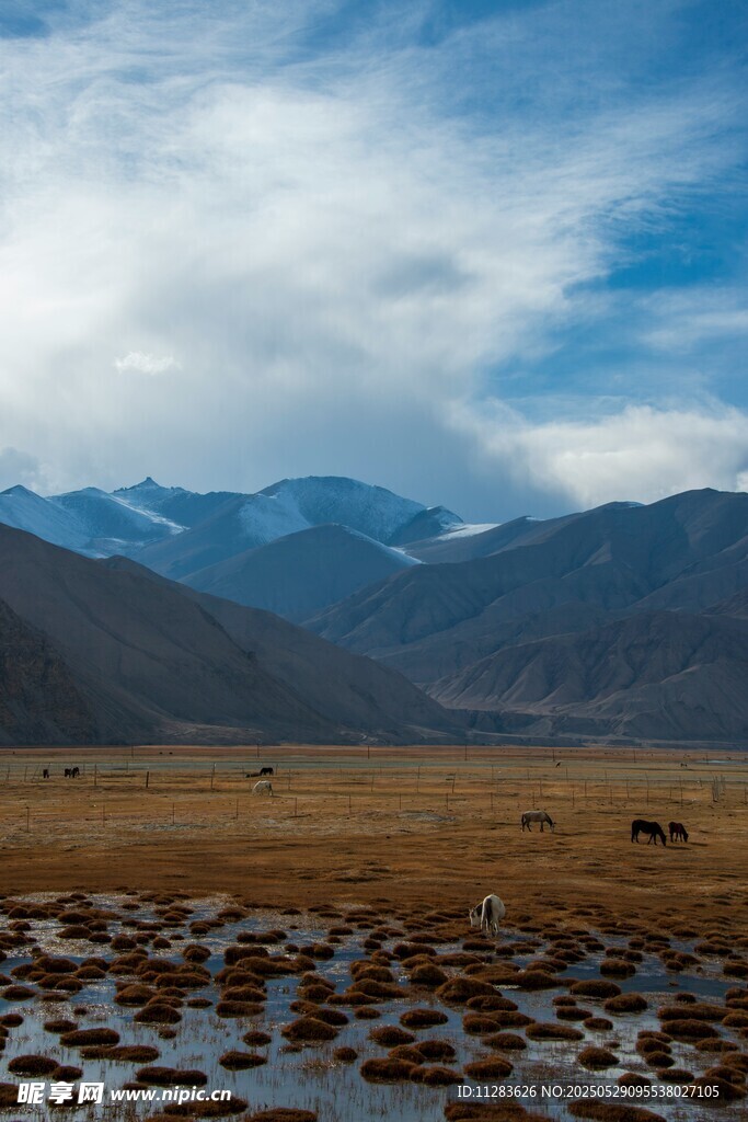 高原湿地与远处山峦美景