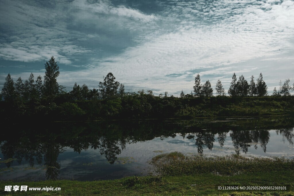 宁静湖畔的自然景致