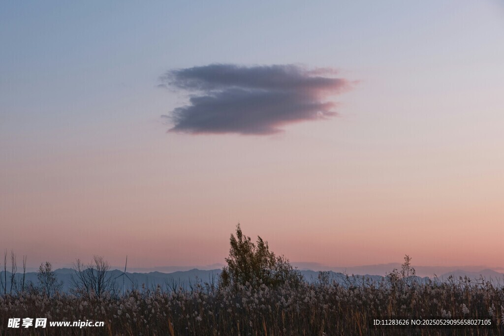 夕阳下的田野与空中云朵