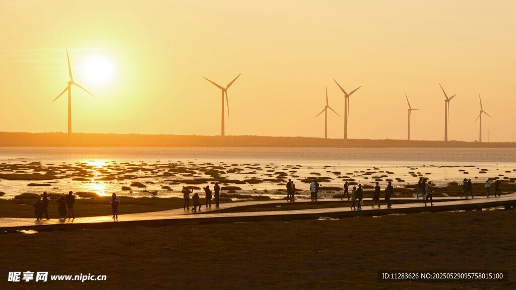 夕阳下的海上风力发电场