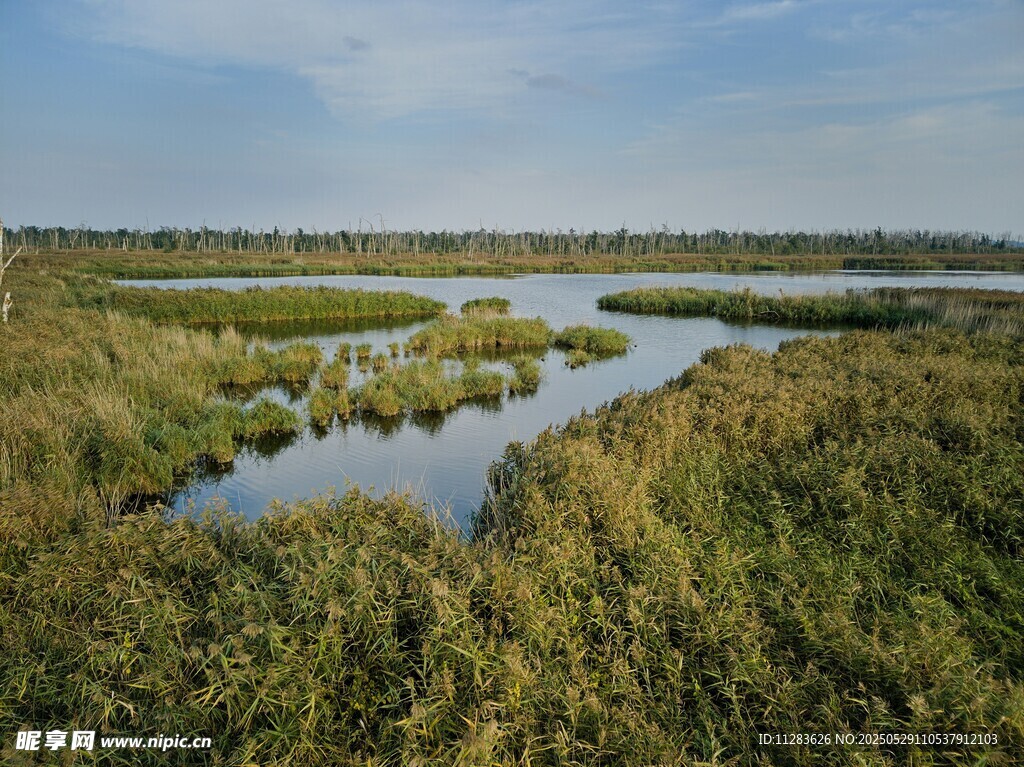 湿地风光美景