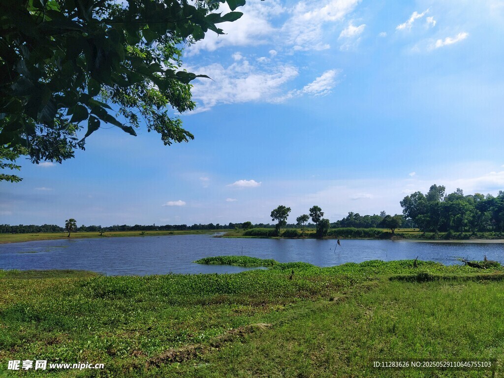 湖畔绿野蓝天美景