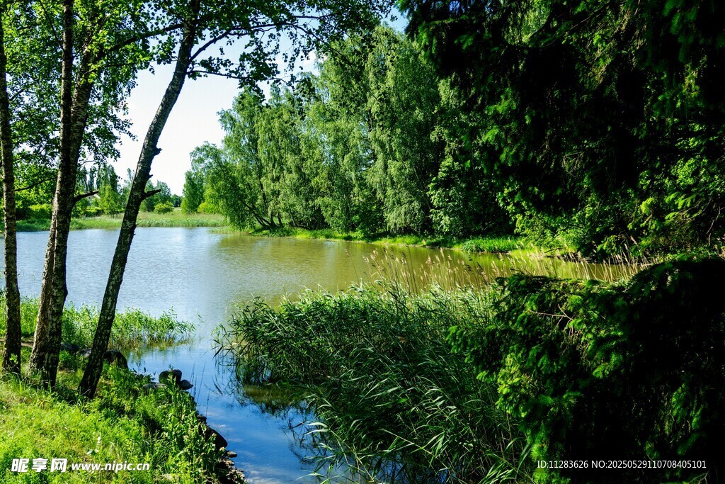 湖畔绿树成荫的自然美景