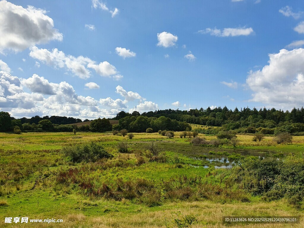 广阔原野蓝天白云美景