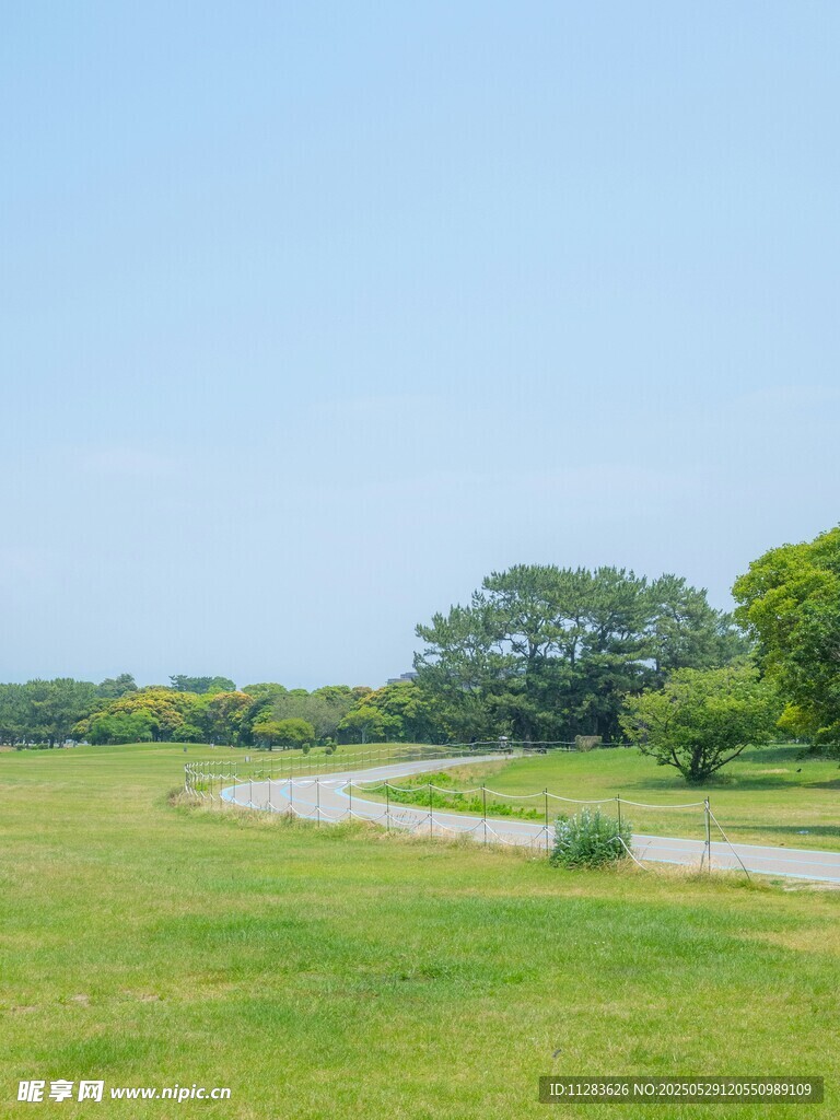 绿野间蜿蜒小路风景