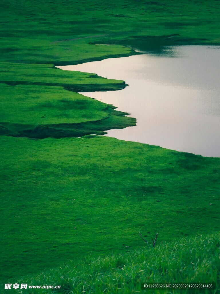 翠绿草原中的静谧湖泊