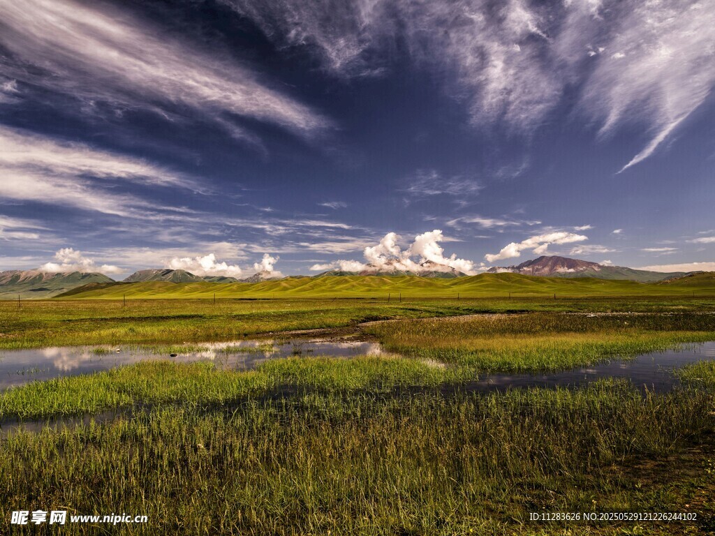 草原湿地风光美景