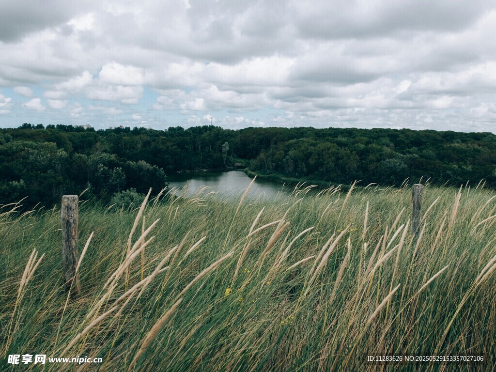 原野草地风景
