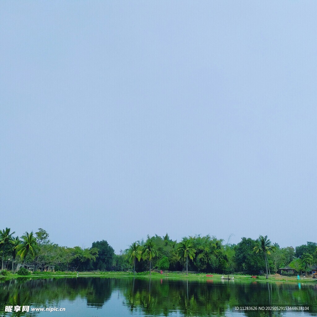 宁静湖面与葱郁树林景观