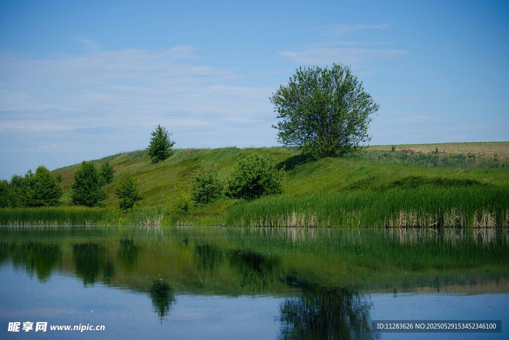 湖畔绿树美景