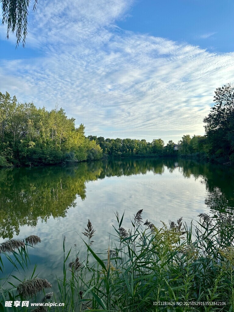 宁静湖畔风光