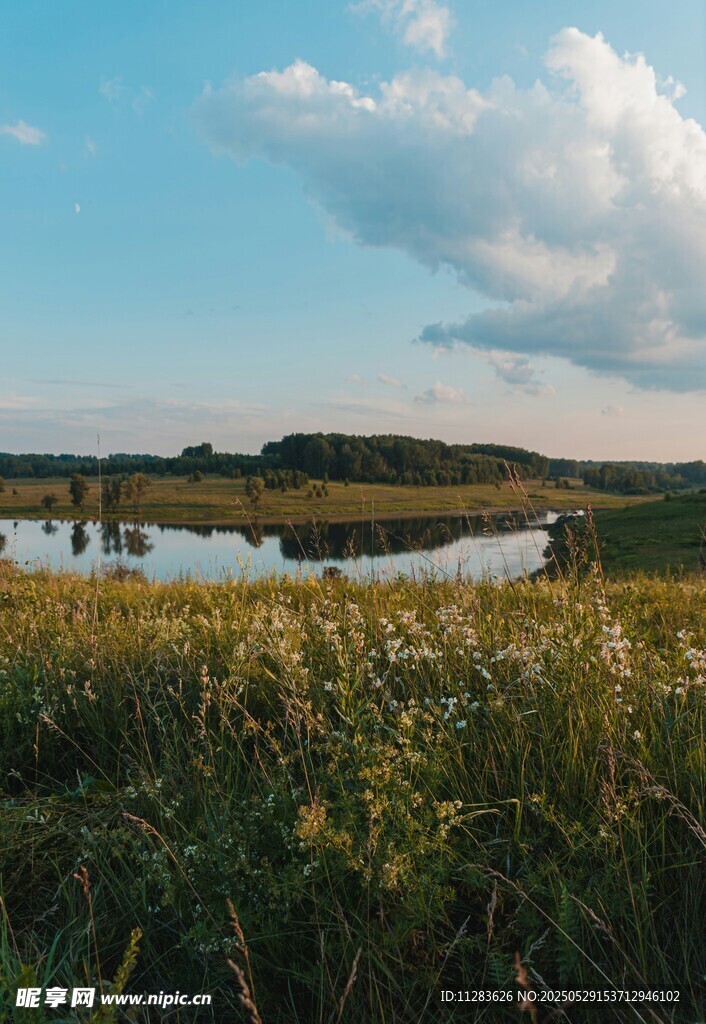 湖畔草地美景