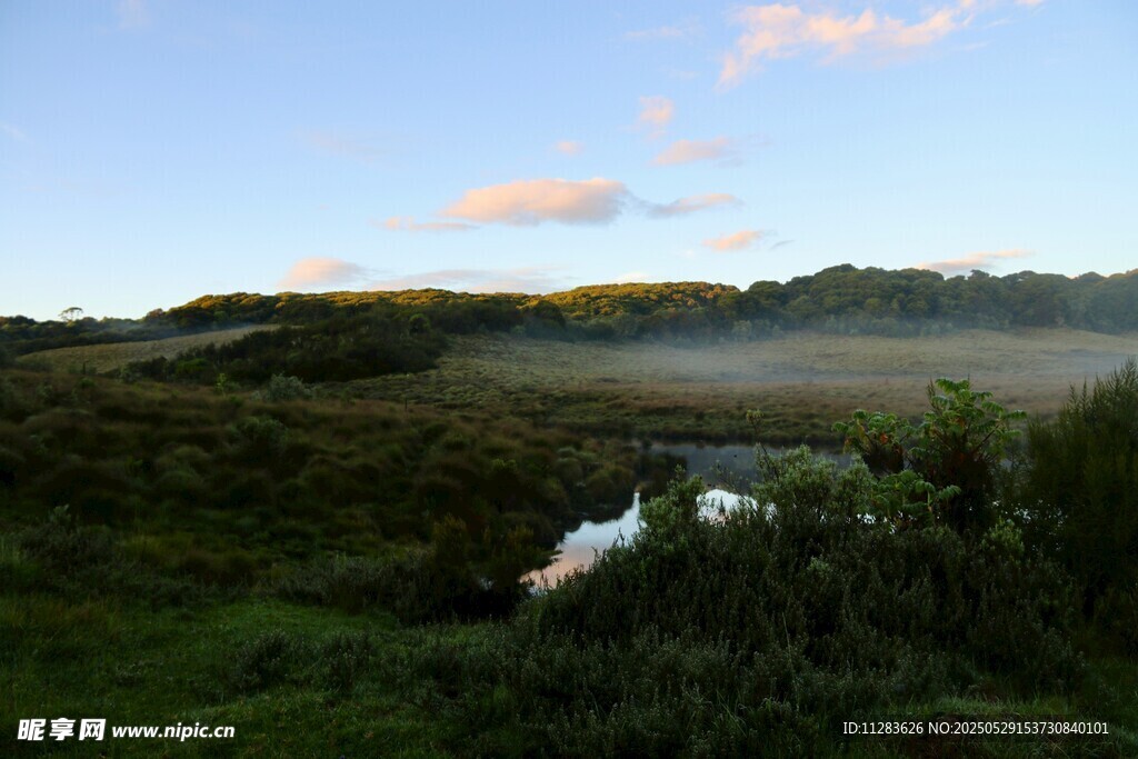 清晨河畔绿意盎然美景