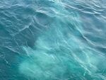 大海