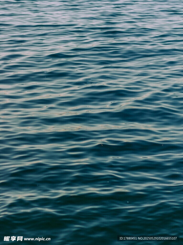 大海