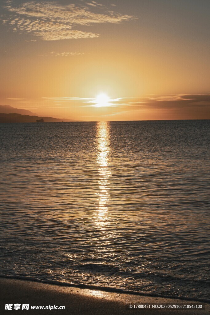 大海