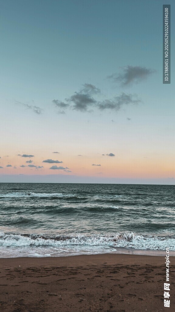 大海