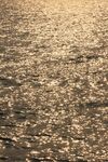 波光粼粼的水面