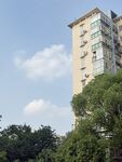 高层住宅与绿树相映
