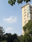 高楼矗立在绿树环绕间