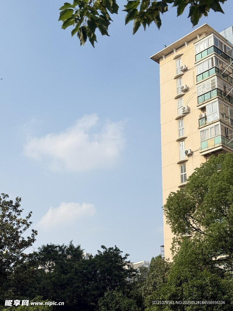 高楼矗立在绿树环绕间