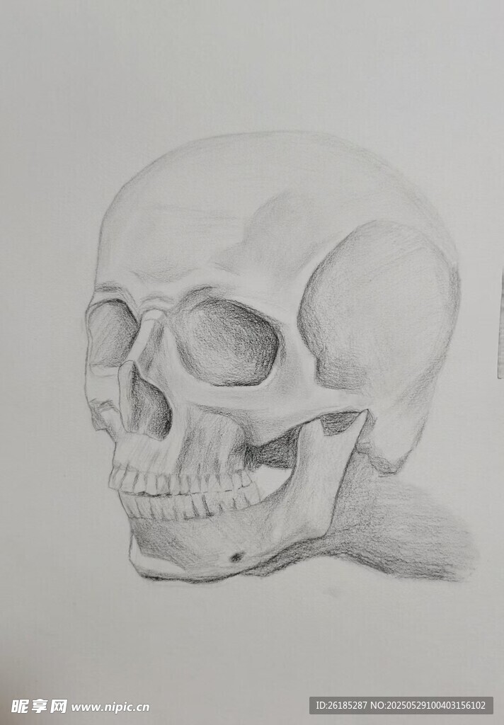 素描头骨